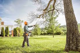 Best Hazardous Tree Removal  in Keizer, OR